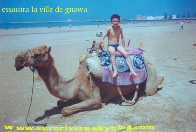 ........c'est a essauira...............